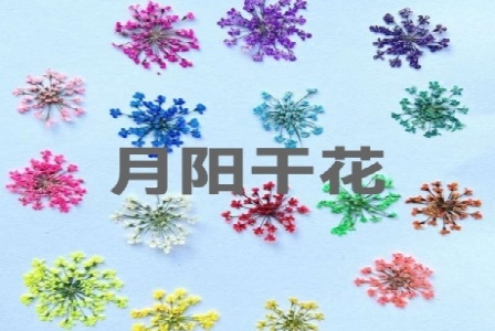 沧州市方维网络科技有限公司形象图